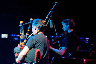Peatbog Faeries